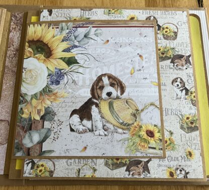 Album "Farmhouse Garden" – Bild 20